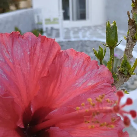 Feriehus Filia's Family Archangelos (Rhodes)