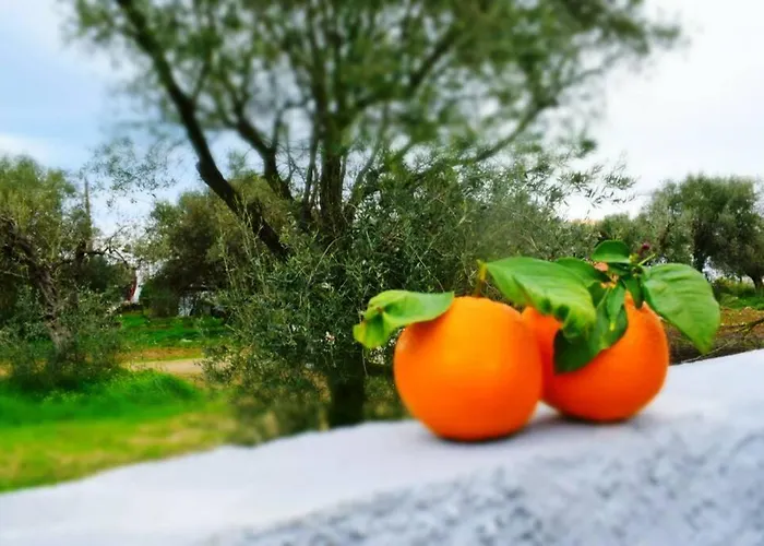 Filia's Family Archangelos (Rhodes)