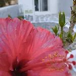 Holiday home Filia's Family Archangelos (Rhodes)