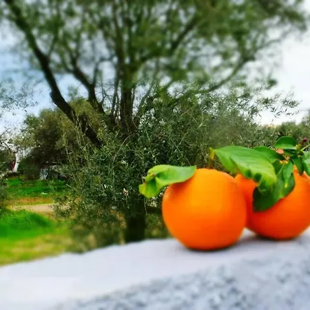 Filia's Family Archangelos (Rhodes)